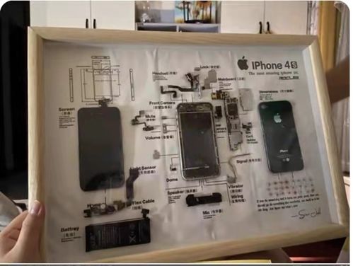 新興職業(yè)探秘 玩偶修復(fù)師、手機(jī)入殮師和貓糧品嘗師月入過(guò)萬(wàn)的秘密