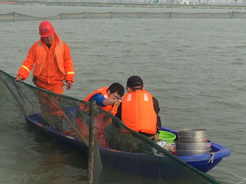 世界水日 三代科學家書寫綠色答卷，為上海非常規水源利用提供科技支撐