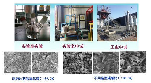電石凈化灰渣資源化利用制備高純氧化鎂和碳酸鈣技術(shù)與非常規(guī)水源利用技術(shù)研發(fā)
