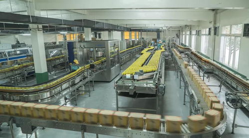 鹽漬液重生記 眉山科技創新如何實現污泥變燃料與非常規水源循環利用